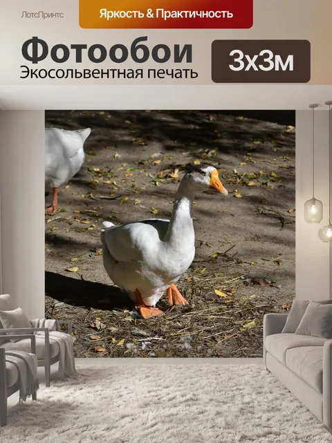Фотообои Гусь