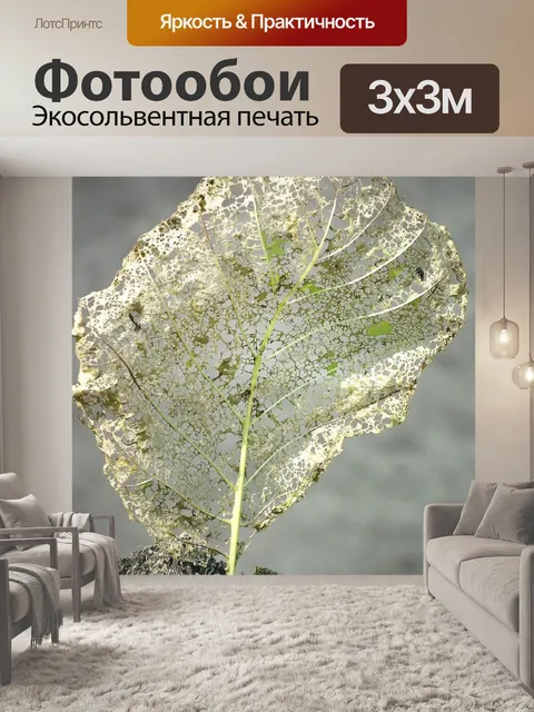 Фотообои Лист