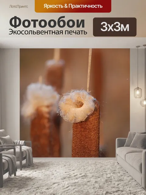 Фотообои Палка