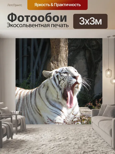 Фотообои Тигр