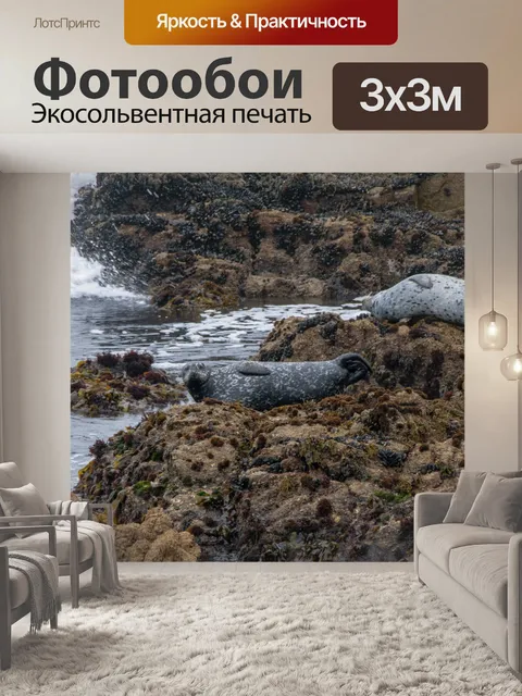 Фотообои Уплотнения на скалах
