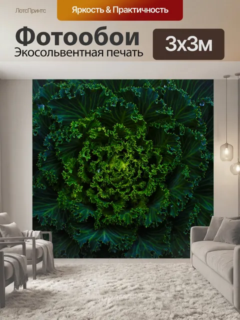 Фотообои Зеленый