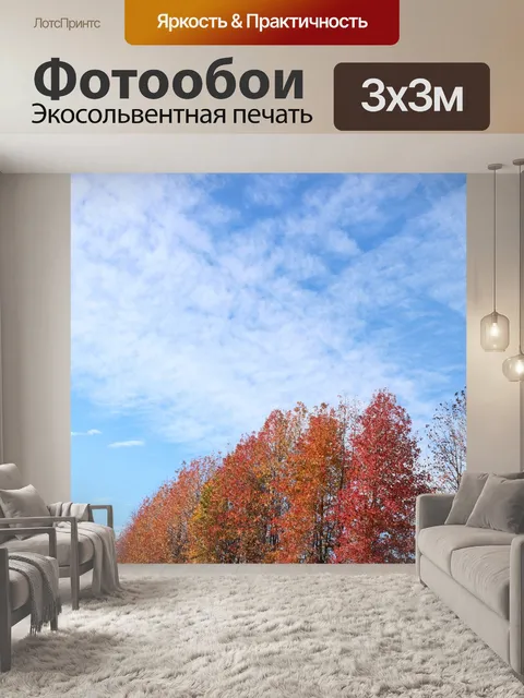 Фотообои Осеннее небо