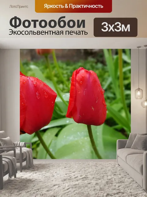 Фотообои Тюльпаны