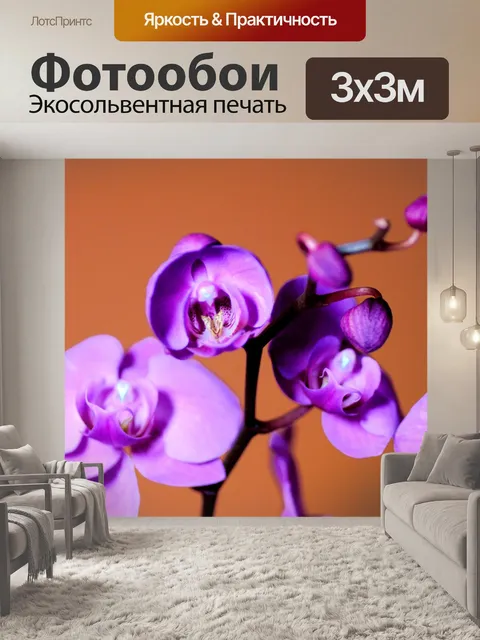 Фотообои Фиолетовый Орхидея 2