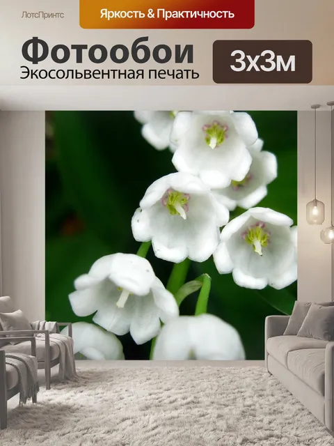 Фотообои Ландыш