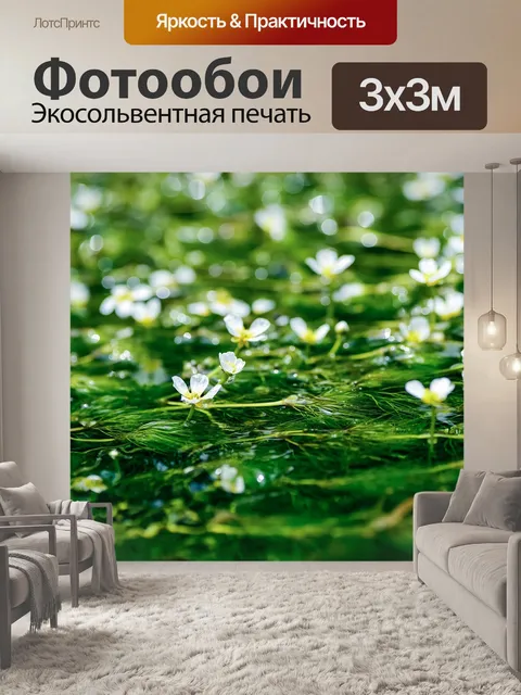 Фотообои Цветы