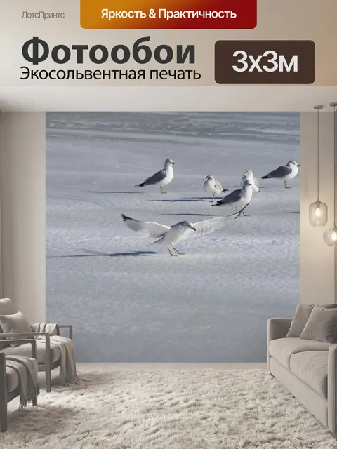 Фотообои Чайка