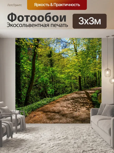 Фотообои Лес в Скиптоне