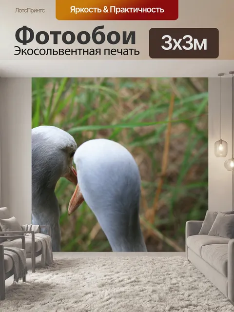 Фотообои руководители голубого крана
