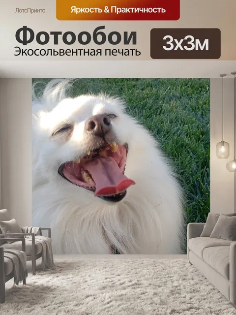 Фотообои Смеющаяся собака