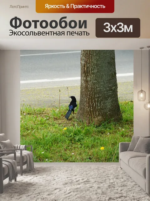 Фотообои Сорока в траве