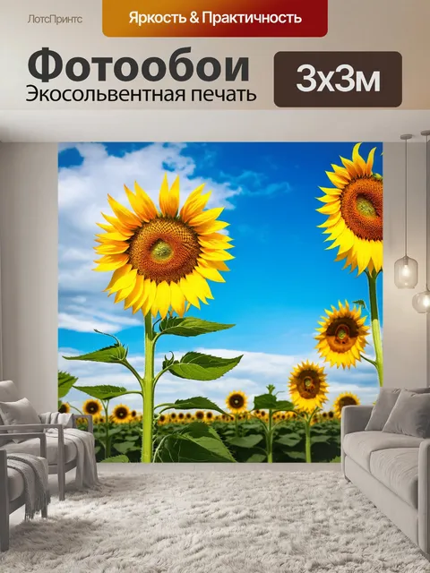 Фотообои поле подсолнухов, тянущихся к солнцу, на фоне голубого неба, с редкими облаками