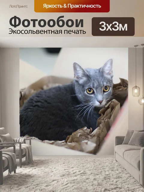 Фотообои Котенок