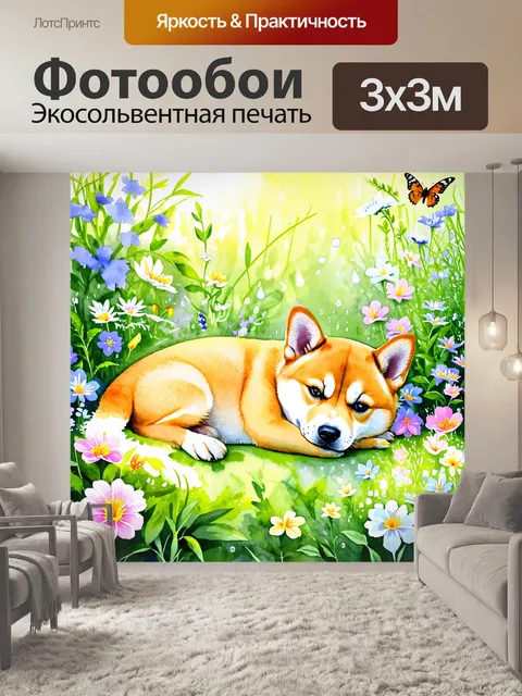 Фотообои на крыле летней утренней росы
