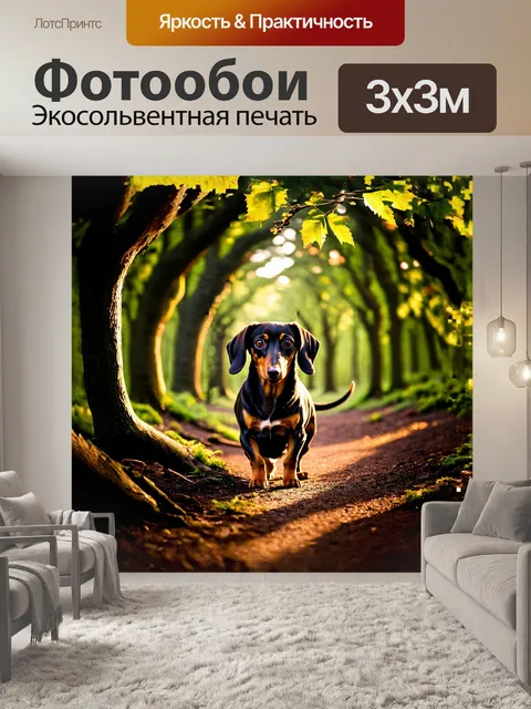 Фотообои такса, исследующая древний лес, её тёмная шёрстка гармонирует с коричневыми и зелеными оттенками окружения
