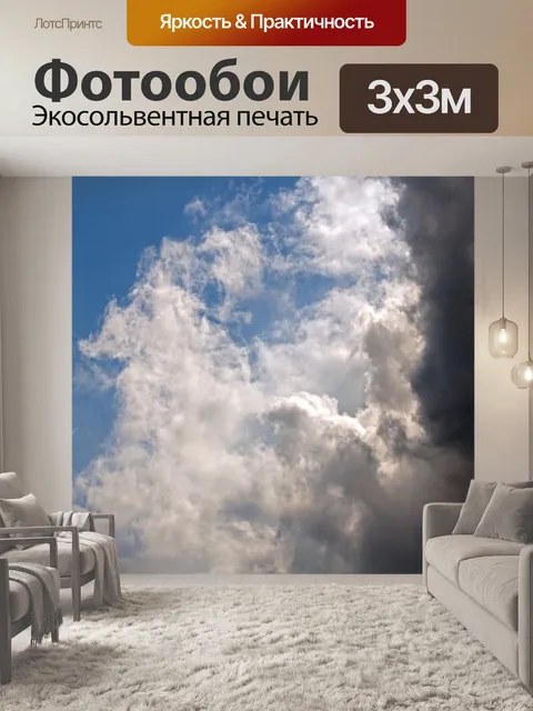 Фотообои темное облако на переднем плане