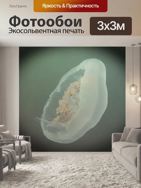 Фотообои Луна