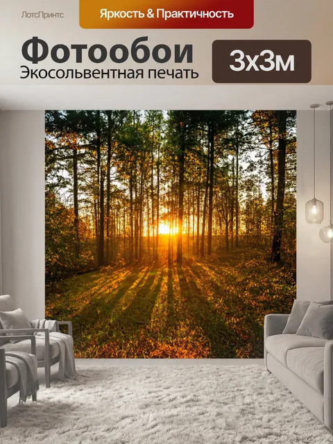 Фотообои закат в лесу, где деревья создают живую тень, а солнце пробивается сквозь листву, создавая прекрасные блики…