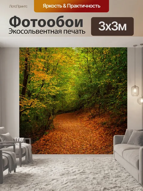 Фотообои загадочный лес, где падают листья и создают красивую дорожку