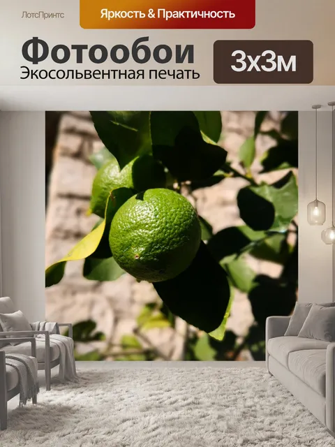 Фотообои Лимоне