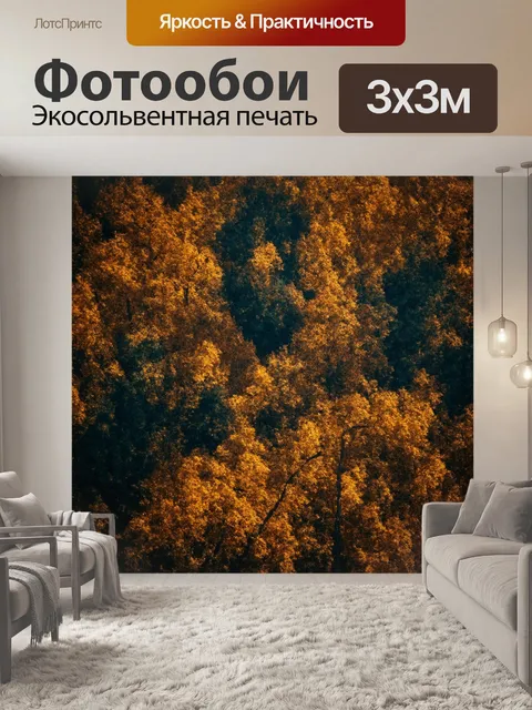Фотообои image in monochrome style