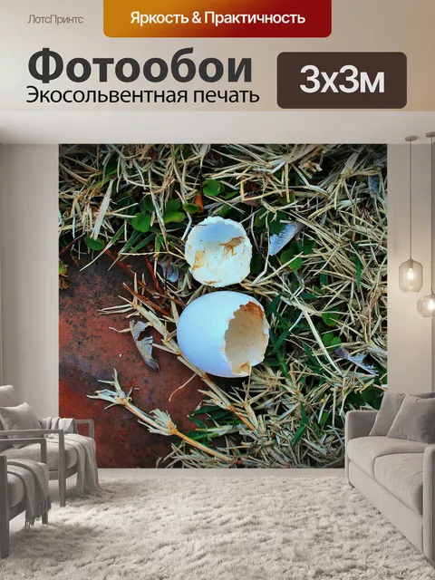 Фотообои птица яичной скорлупы