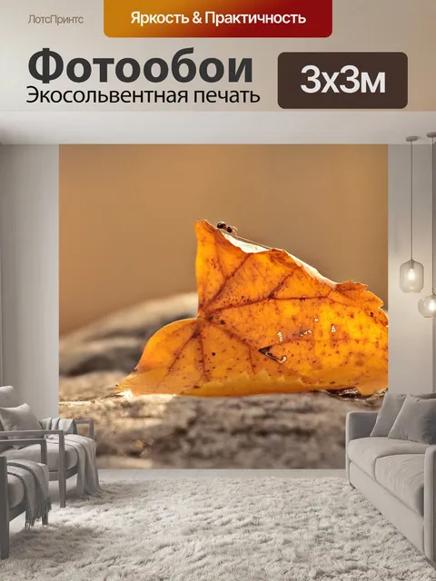 Фотообои Муравей