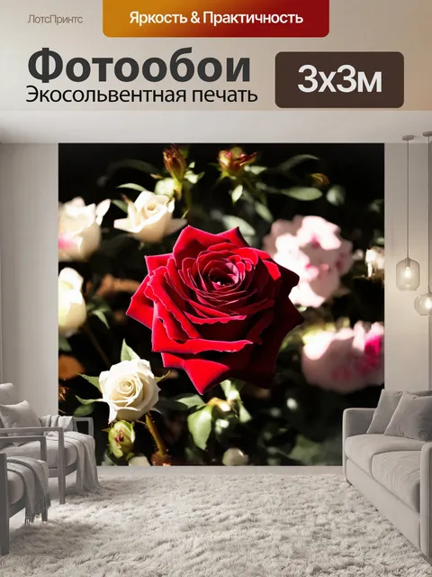 Фотообои в центре композиции величественно раскрывается красная роза