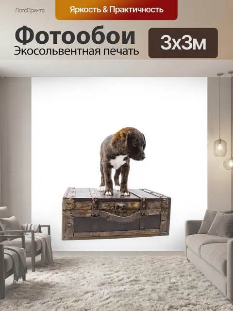 Фотообои Щенок с чемоданом