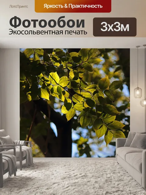 Фотообои солнце на листьях белого вонючего дерева
