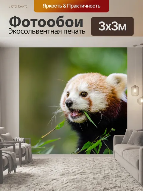 Фотообои Красная панда панда