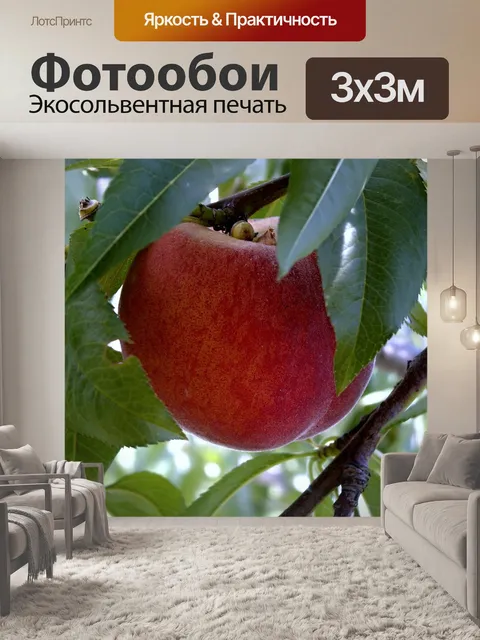 Фотообои Персик