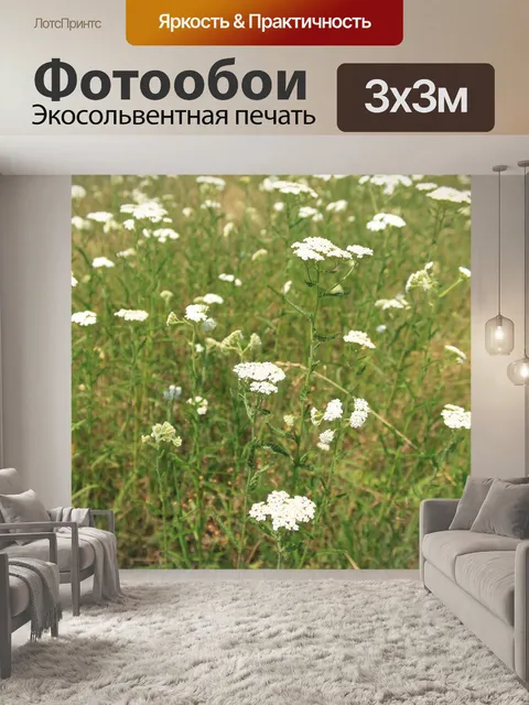 Фотообои Achillea