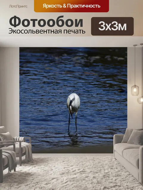 Фотообои Животное