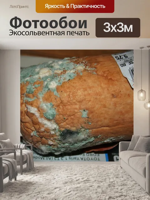 Фотообои Плесень на Ореха