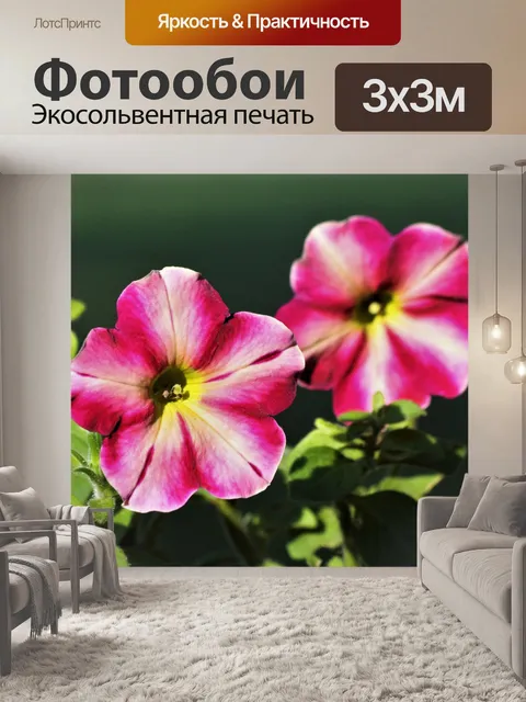 Фотообои Розовая полосатая петуния крупным планом