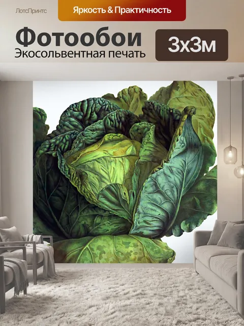 Фотообои Иллюстрация капусты овощного салата