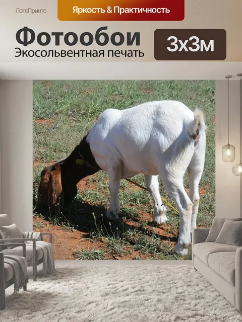 Фотообои Козел