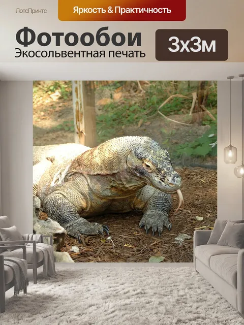 Фотообои Дракон комодо