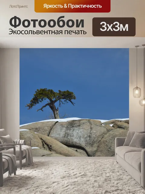Фотообои Одинокие скалы деревьев