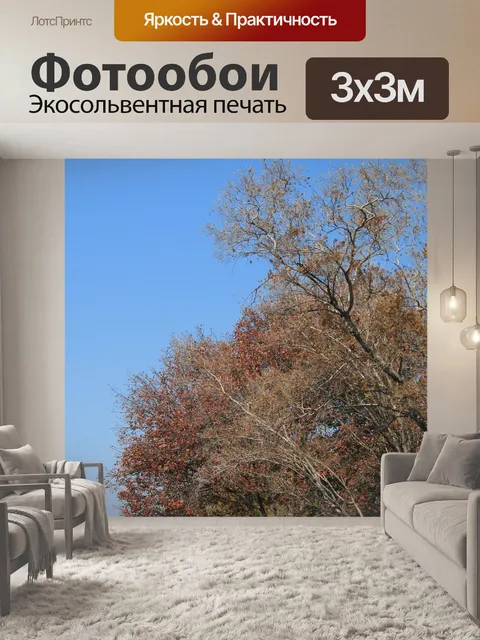Фотообои Зимние деревья