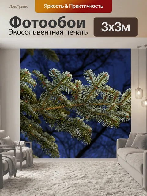 Фотообои Ель