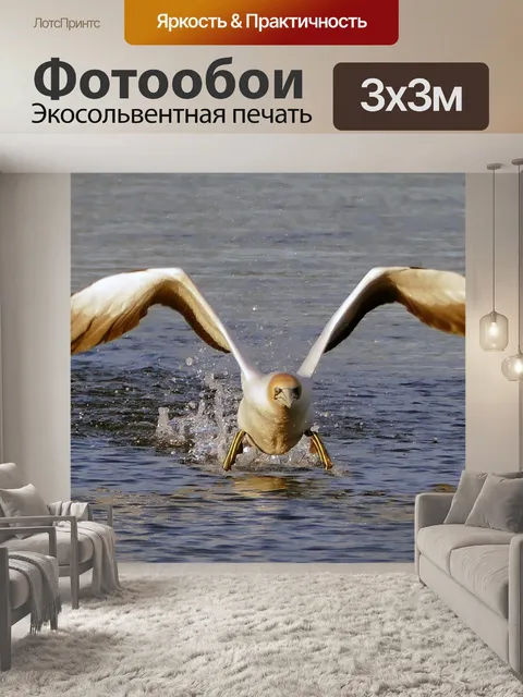 Фотообои Сиберд