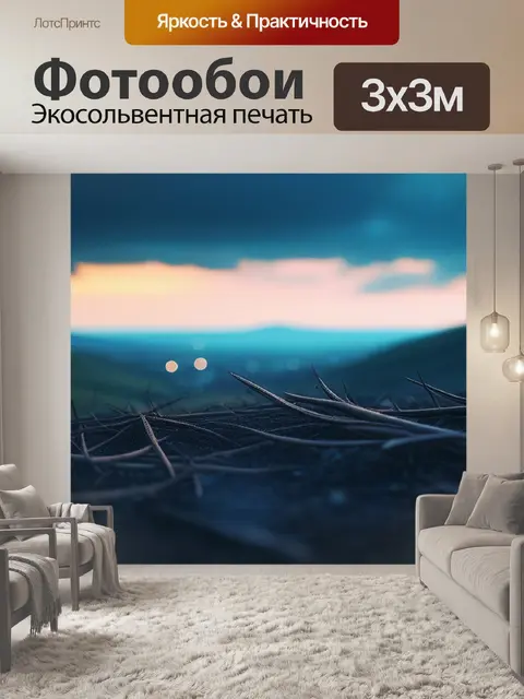 Фотообои темный пейзаж с небом смешной