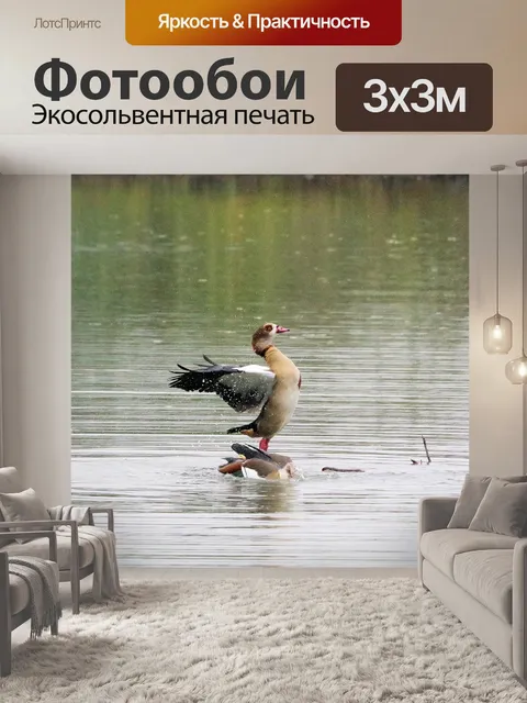 Фотообои Природа