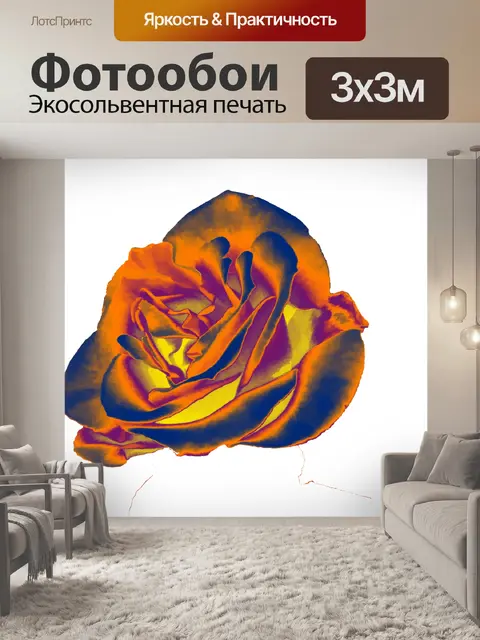 Фотообои Оранжевая и голубая роза