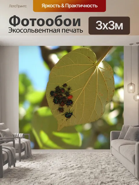 Фотообои Ошибки
