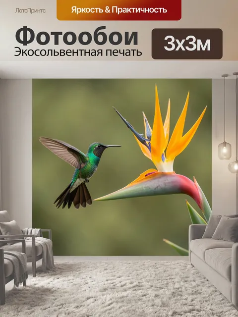 Фотообои Колибри у райской птицы