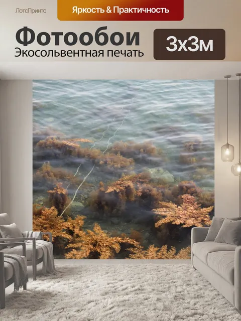 Фотообои Водоросли